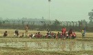 ভারত আরও ৩১ রোহিঙ্গাকে বাংলাদেশে পাঠাতে চায়