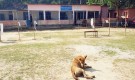 তিন কেন্দ্রে এক ঘণ্টায় একশ ভোট