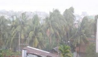 বরগুনায় ঝড়ে ঘর ভেঙে নিহত ২