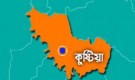কুষ্টিয়ায় বিদ্যুৎস্পৃষ্ট হয়ে স্বামী-স্ত্রীর মৃত্যু