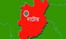 নাটোরে এক মায়ের গর্ভে জন্ম নিল ৪ শিশু