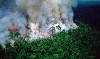 হুমকিতে ‘পৃথিবীর ফুসফুস’ অ্যামাজন