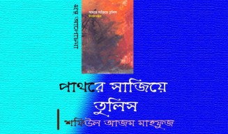 দ্বিপায়ন মল্লিকের 'পাথরে সাজিয়ে তুলিস'