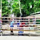 ওয়ারীতে অবাধ প্রবেশ-বাহির বন্ধ