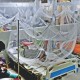 ডেঙ্গু আক্রান্ত হয়ে আরও ২৪৬ জন হাসপাতালে