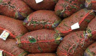 ভারত থেকে আবারও শুরু হলো কাঁচা মরিচ আমদানি