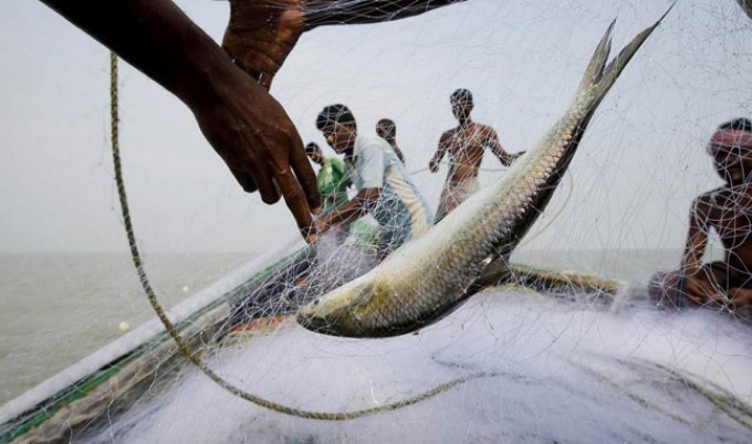 জেলেদের জন্য বরাদ্দ ১১ হাজার ১১৯ মেট্রিক টন চাল