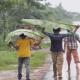 মৌসুমি বায়ুর বিদায়ে ৩ বিভাগে বৃষ্টি হতে পারে