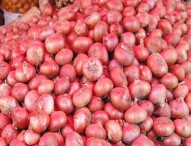 পেঁয়াজের দামের বিস্ফোরনের আশঙ্কা