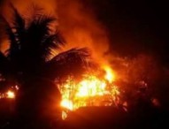 বান্দরবানের বলিপাড়া বাজারে অগ্নিকাণ্ডে ৫০ দোকান পুড়ে ছাই
