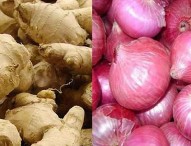 ভোক্তাকে ভোগাচ্ছে পেঁয়াজের বাজার