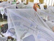 ডেঙ্গুতে ৫৫ শতাংশ মৃত্যু  ২৪ ঘণ্টার মধ্যে