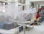 ডেঙ্গু  আক্রান্ত হয়ে  ১৪ জনের মৃত্যু