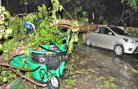 কালবৈশাখী ঝড়ে ৮ জনের মৃত্যু
