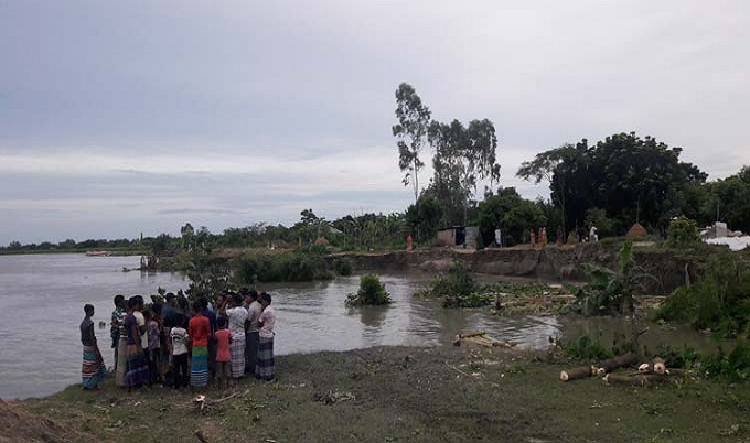 পদ্মার পানি কমলেও ভাঙন অব্যাহত