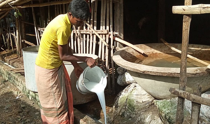 পাবনায় প্রতি লিটার দুধ ১০ টাকা, মিলছে না ক্রেতা