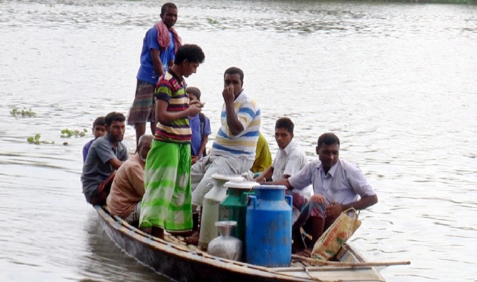 প্রাণসহ তিন কোম্পানির দুধ সংগ্রহ শুরু, স্বস্তিতে খামারিরা