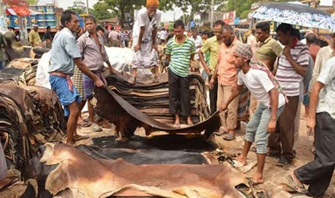 কোরবানির পশুর চামড়ার দাম নির্ধারণ