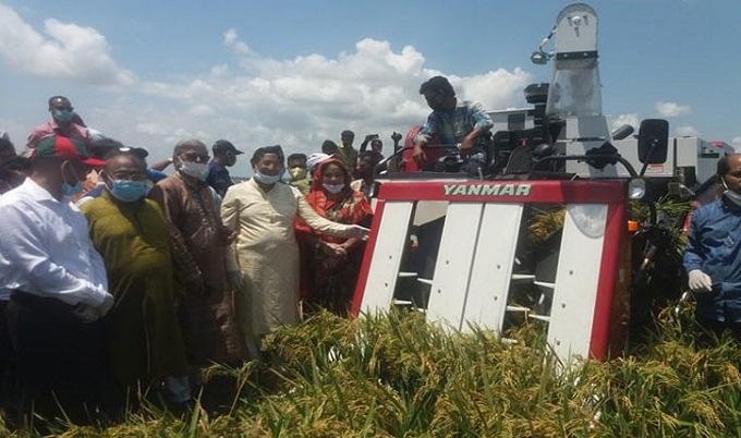 লটারির মাধ্যমে ধান কেনা হবে: কৃষিমন্ত্রী