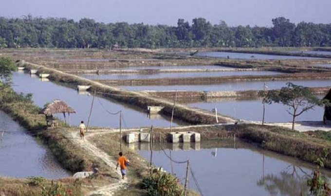 বাঁধের ১০০ মিটারের মধ্যে ঘের করা যাবে না