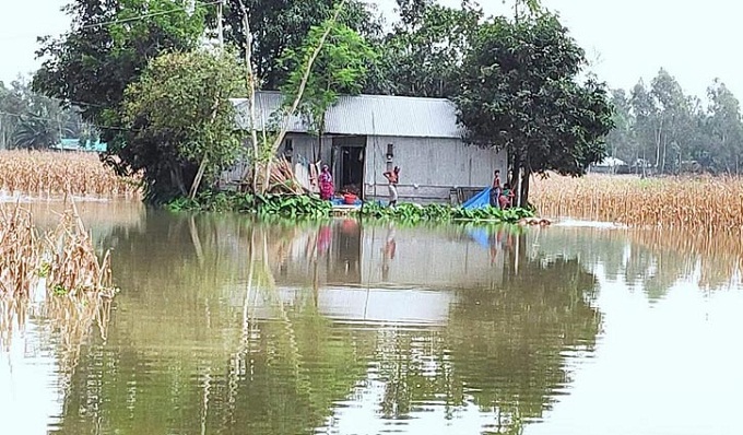 বিপৎসীমার ওপরে তিস্তার পানি, চরাঞ্চলে বন্যা