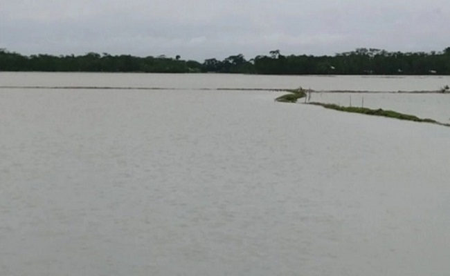 বাগেরহাটে ভেসে গেছে ৫ হাজার ঘেরের মাছ