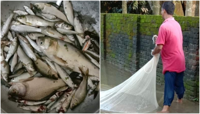 রংপুর শহরের সড়কে মাছ ধরার উৎসব!