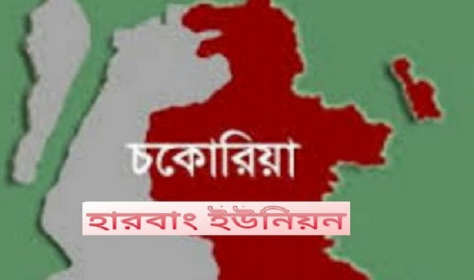 মধ্যরাতে আগুনে প্রাণ গেলো ঘুমন্ত তিন ভাই-বোনের