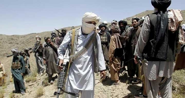 আফগানিস্তানে সেনাবাহিনীর অভিযানে ২৬৯ তালেবান নিহত