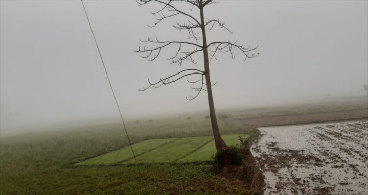 আজ থেকে শুরু হতে পারে শৈত্যপ্রবাহ