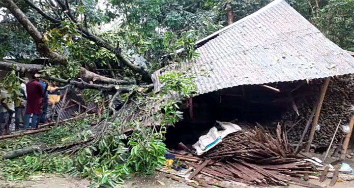 সুনামগঞ্জে কালবৈশাখীতে প্রাণ গেল এক পরিবারের ৩ জনের