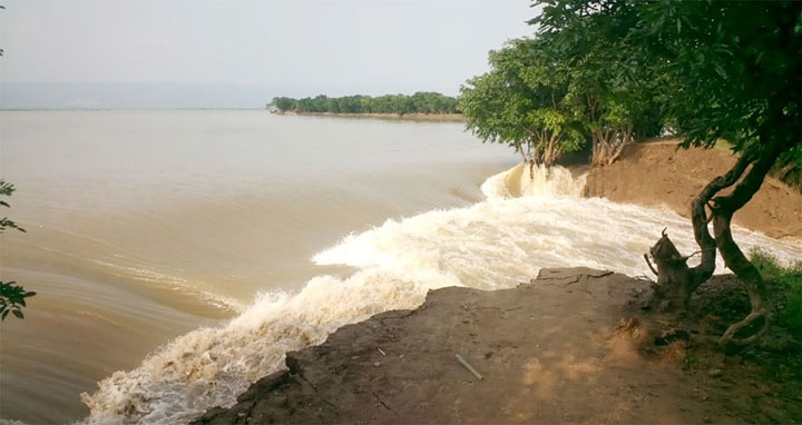 তাহিরপুরে বাঁধ ভেঙে হাওরে ঢুকছে পানি