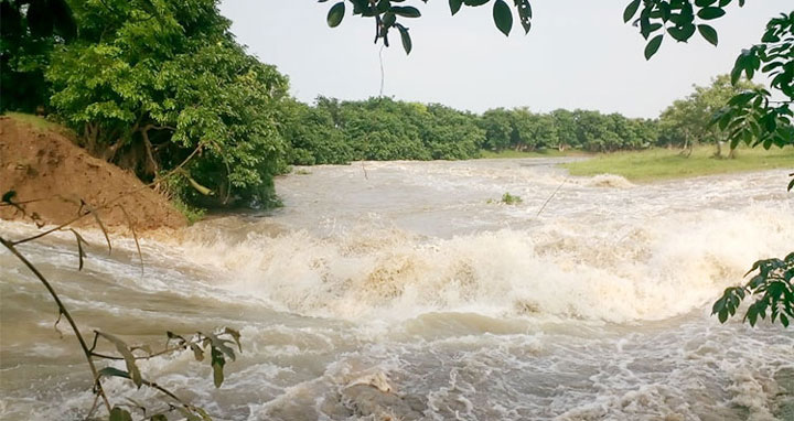 হাওরে ৩০০ হেক্টর ধান তলিয়ে যাওয়ার শঙ্কা