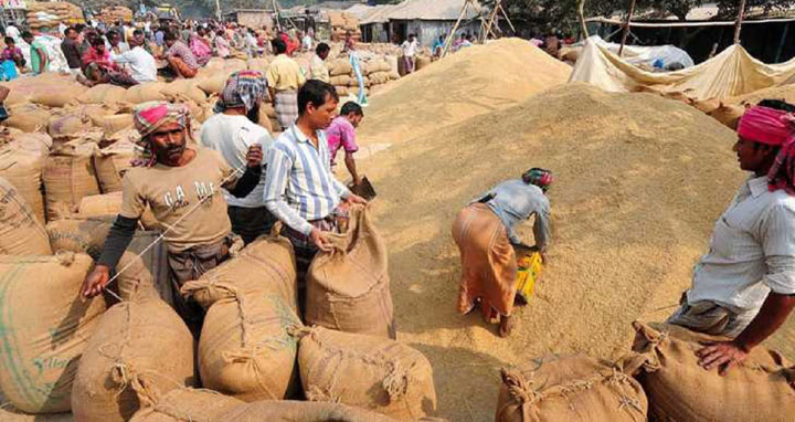 ধানের ভরা মৌসুমেও চড়া চালের বাজার