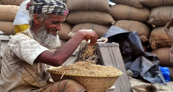 সর্বজনীন পেনশন চালুর সিদ্ধান্ত 