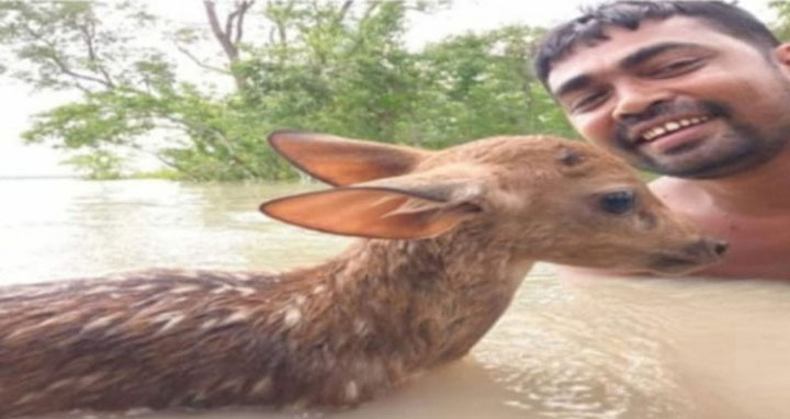 ‘অস্বাভাবিক জোয়ারে’ তলিয়ে গেল নিঝুম দ্বীপ