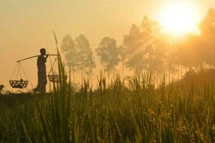 দিন-রাতের তাপমাত্রা বাড়বে