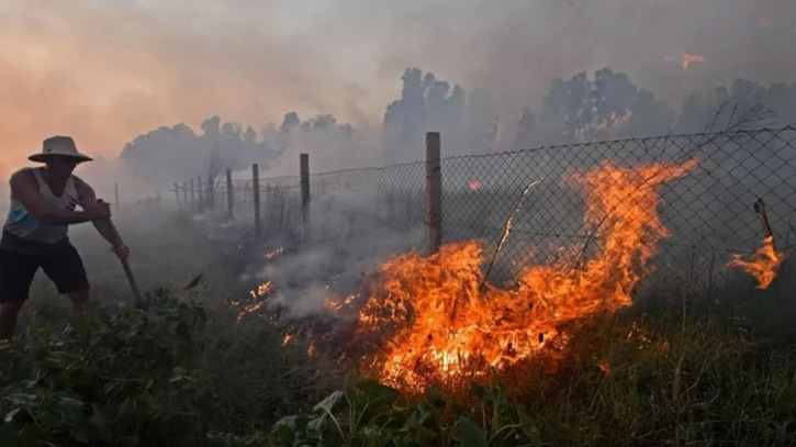 আলজেরিয়ায় ভয়াবহ দাবানলে কমপক্ষে ৩৪ জন নিহত