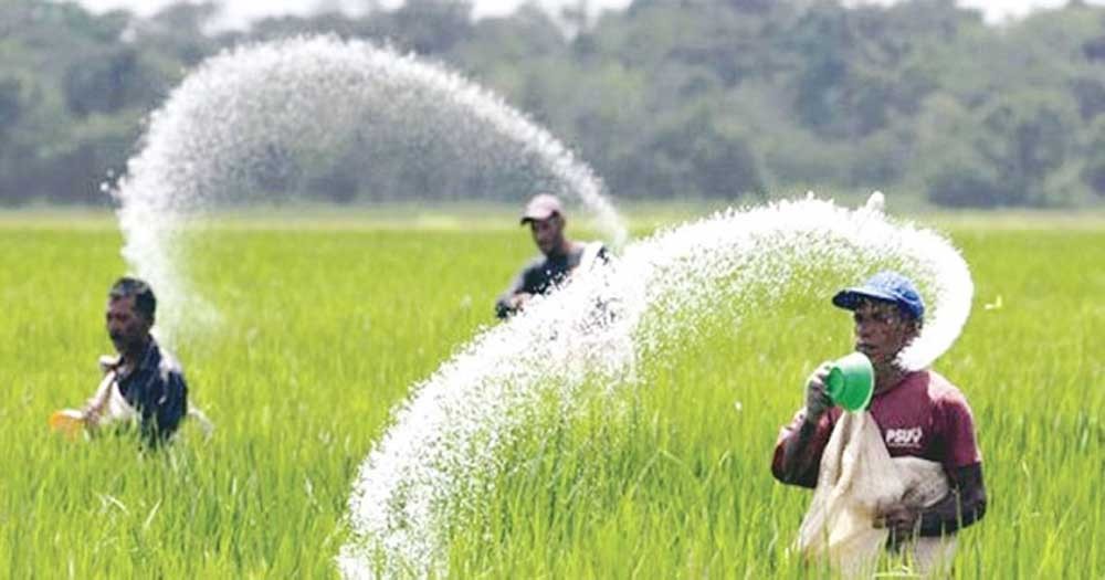 তিন দেশ থেকে ৬৩৯ কোটি টাকা সার কিনবে সরকার