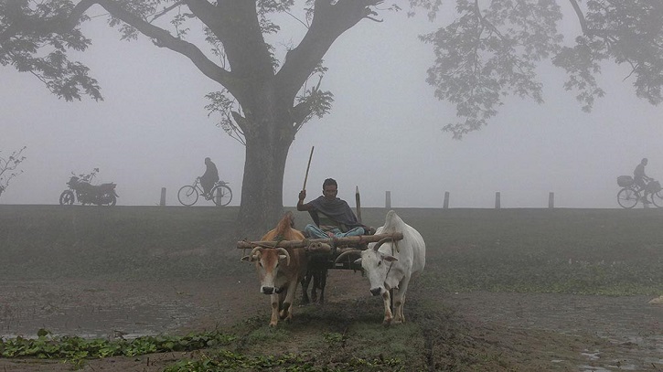 প্রচণ্ড শীত ও কুয়াশায়  জনজীবন স্থবির 