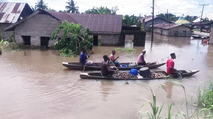 নাইজেরিয়ায় বন্যায় ৪৯ জনের প্রাণহানি