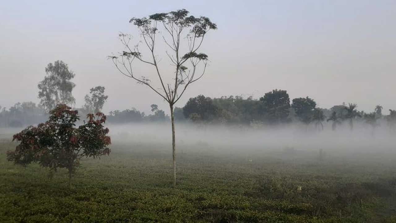 তাপমাত্রা নামল ১২ ডিগ্রিতে