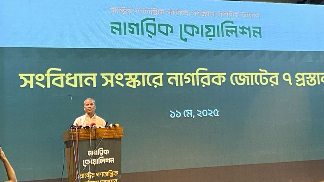 নতুন সংবিধান প্রণয়ন করতে অনেক সময় লাগবে : আসিফ নজরুল