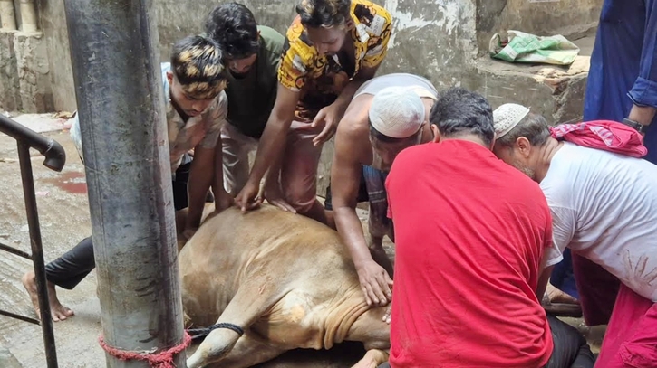 দ্বিতীয় দিনেও চলছে পশু কোরবানি