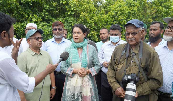 দ্রুতই পূর্বাচলে বনাঞ্চলের সীমানা চিহ্নিত করা হবে : উপদেষ্টা