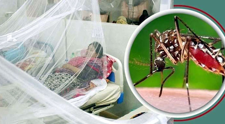 ডেঙ্গুতে একজনের মৃত্যু, হাসপাতালে ভর্তি ১১৪