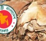 কোরবানির পশুর চামড়ার মূল্য নির্ধারণ করে দিলো সরকার