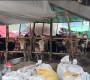 প্রস্তুত হাট, আসছে গরু-অপেক্ষা ক্রেতার