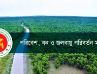 নববর্ষে আতশবাজি বন্ধে কাজ করবে ভ্রাম্যমাণ আদালত