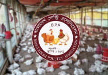 ১ মে থেকে দেশজুড়ে ডিম-মুরগির খামার বন্ধের ঘোষণা